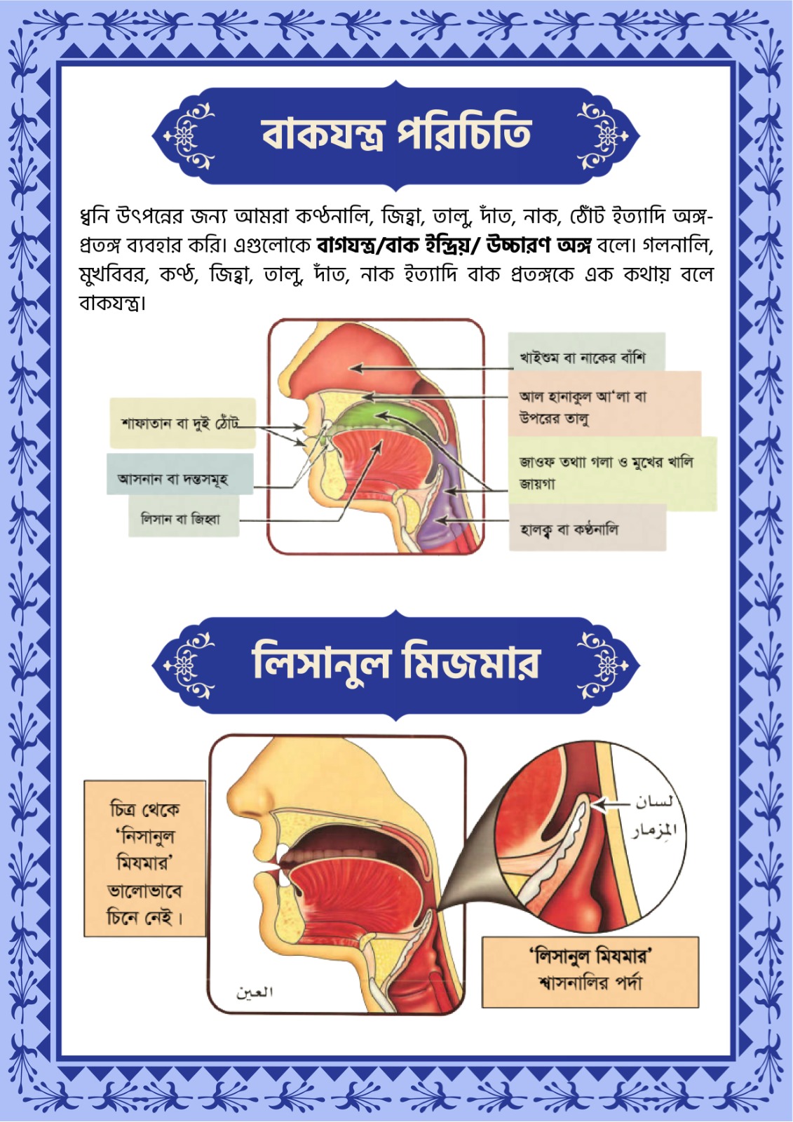 WhatsApp Image 2026-01-27 at 3.36.06 PM (1)